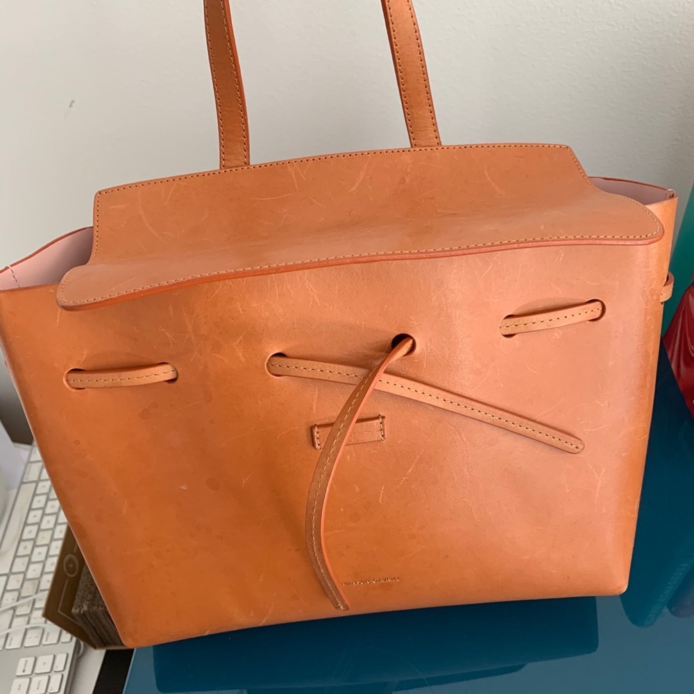 Mansur Gavriel Lady Bag